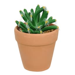 Vaso com Cacto Castelo de Fada Verde 14x6 cm - D'Rossi