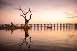 Quadro Decorativo Ecofloat Árvore Seca 60x90cm