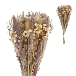 Galho Decorativo Seco Bege e Marrom 35 cm