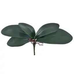 Folha Decorativa Orquídea Verde