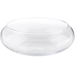 Vaso Terrario de Vidro Grande para Suculentas 13X22X28cm