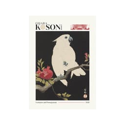 Pôster Decorativo Grandes Artistas Koson Cockatoo 50x70 cm