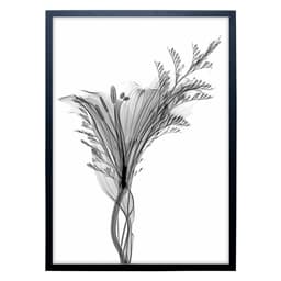Quadro Clássico Floral Raio-X I com Vidro Preto e Branco 50x70 cm