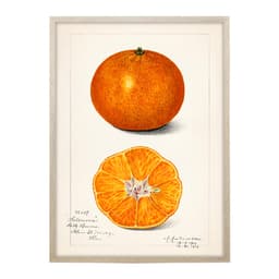 Quadro Cozinha Laranja com Vidro Colorido 40x60 cm