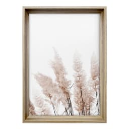 Quadro Romântico Grama de Pampas II com Vidro Colorido 50x70 cm