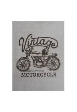 Placa Decorativa Adesiva Não é Segredo Moto MDF 30x40 NS0403