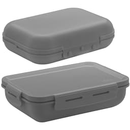 Conjunto Marmita Hermética E Sanduicheira Pote Para Lanches Frutas Chumbo