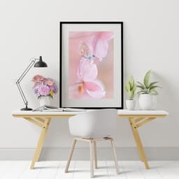 Quadro Borboleta Soft Rosa - 60x48cm