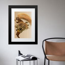 Quadro Fotografia Orixá Obaluaê - 60x48cm