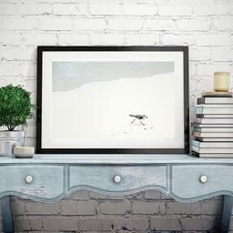 Quadro Minimalista Passarinho Praia - 60x48cm