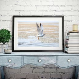 Quadro Praia Bege Branco Passarinho - 60x48cm