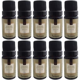 Kit 10 Essências de Aromatizador Via Aroma Aromaterapia 10ml Alecrim Silvestre