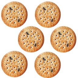 Conjunto 6 Porta Copos Com Caixa MDF Descanso De Copos de Me